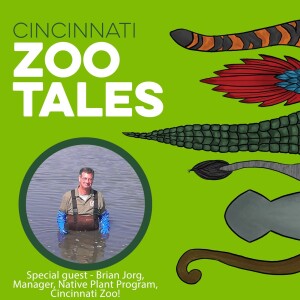 Brian Jorg, Cincinnati Zoo