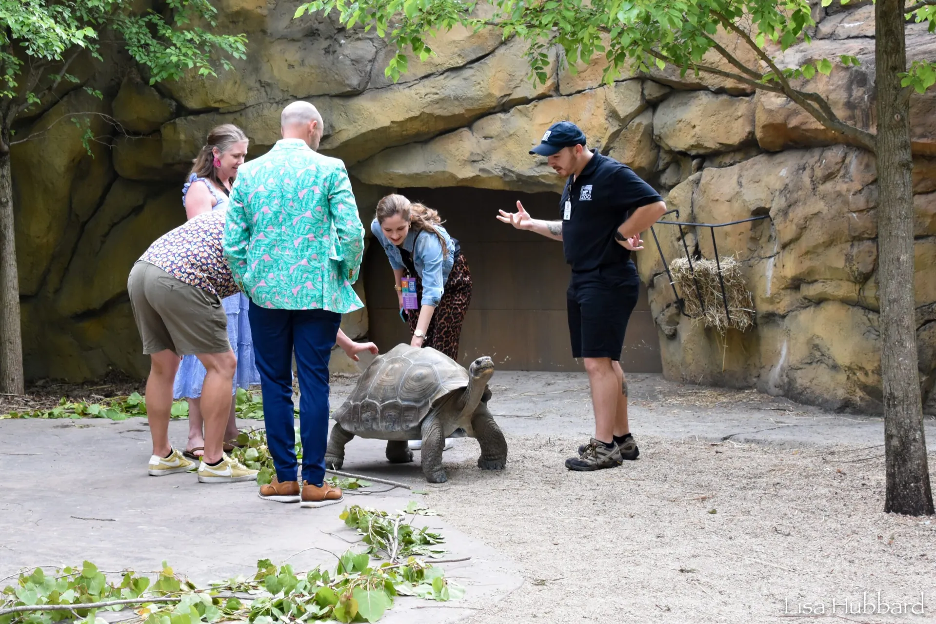 behind the scenes tour with galapagos tortoises