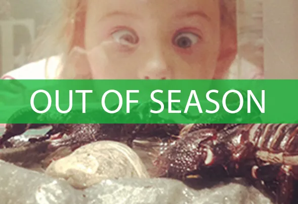 insect tour is out of season