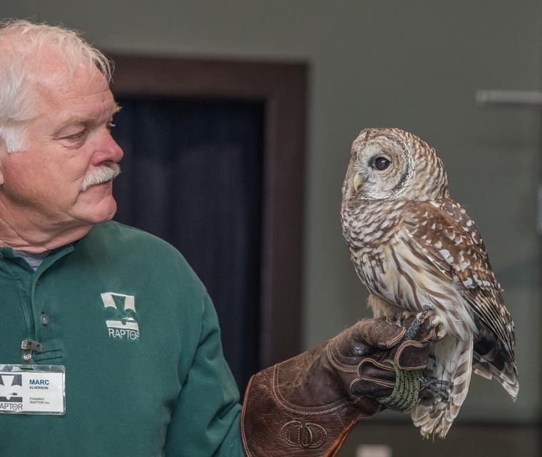 raptors inc volunteer holding an owl