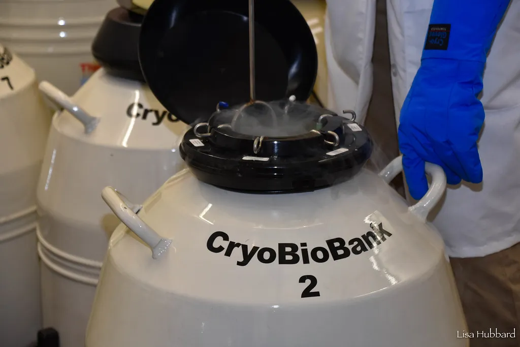 criobiobank