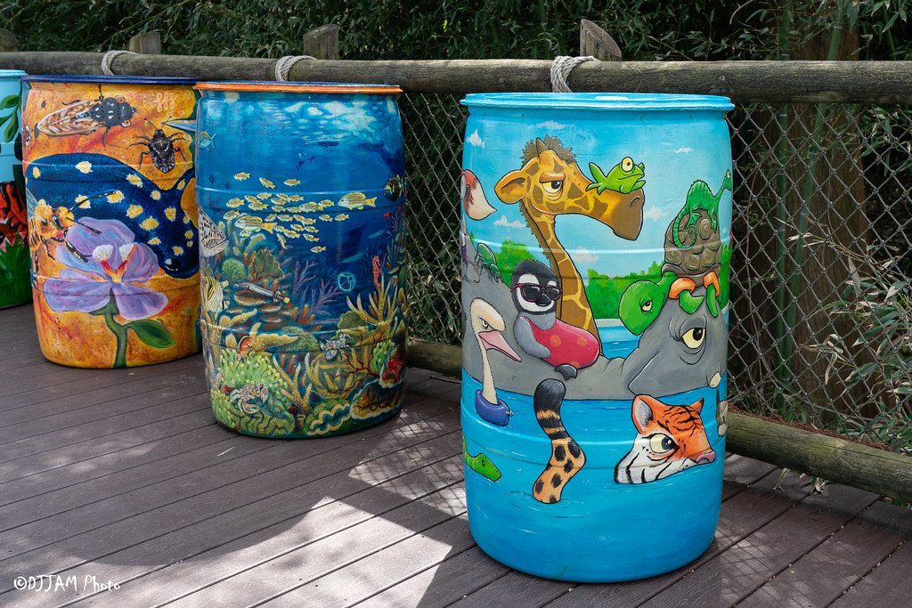 April Showers Bring…Rain Barrels! – Cincinnati Zoo & Botanical Garden