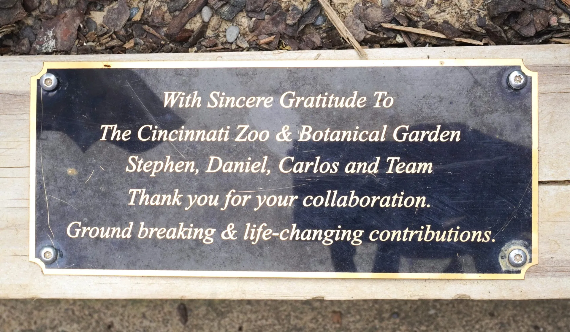 community garden