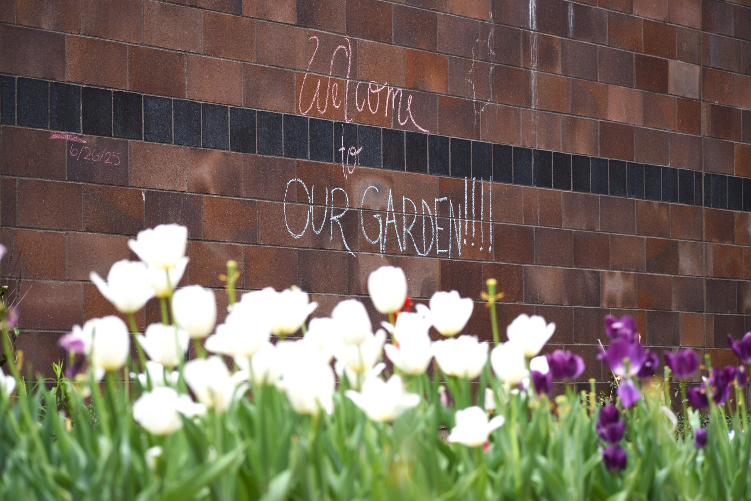 community garden