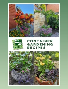 Thumbnail - Container Garden Recipe