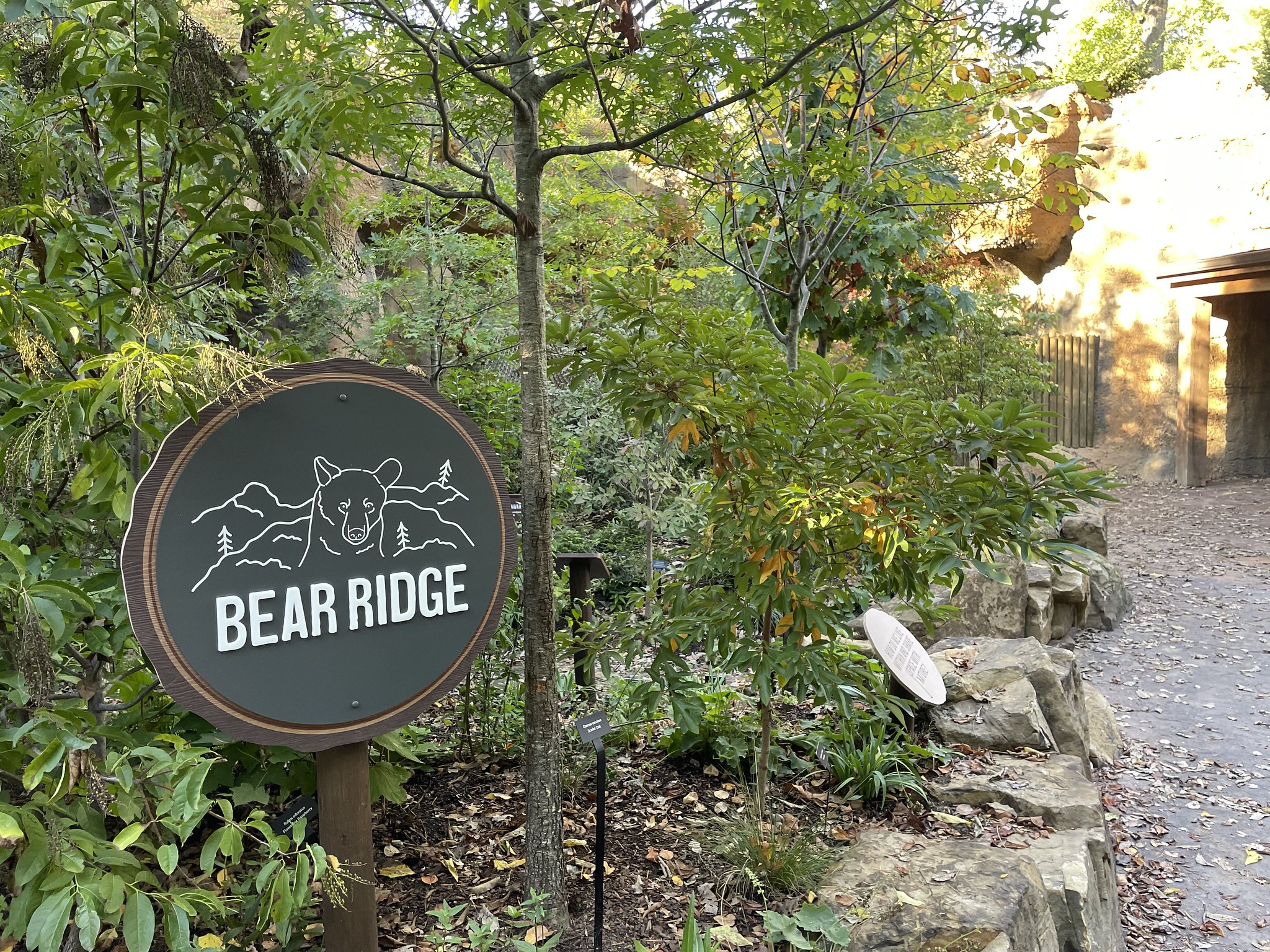 Bear Ridge Adventure Trail