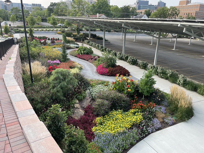 Erkenbrecher Ave garden