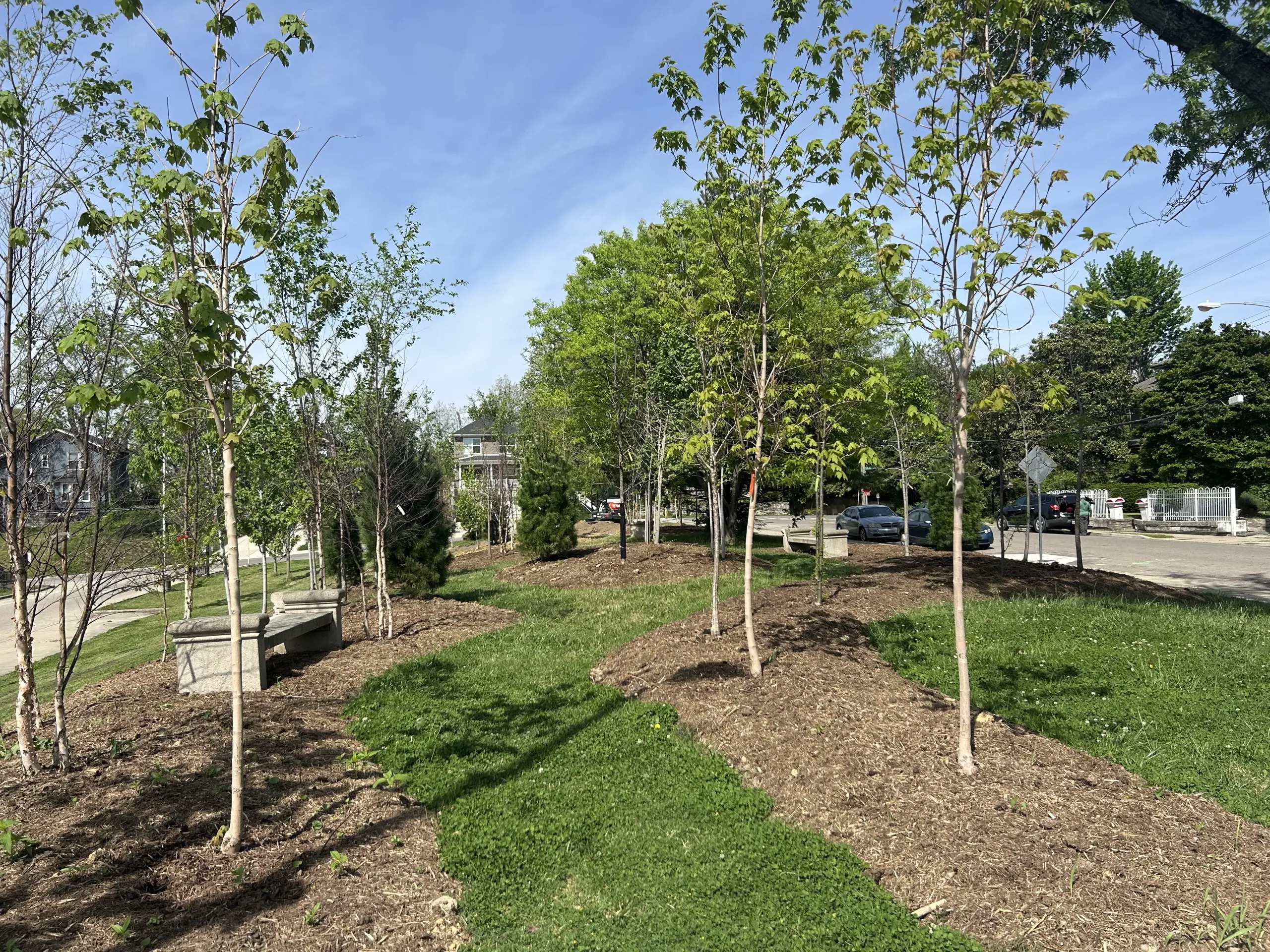 Mini Forest, Major Impact