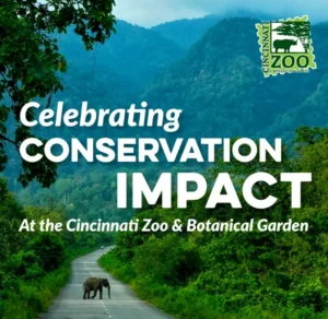 Conservation Impact Report 2025 cover