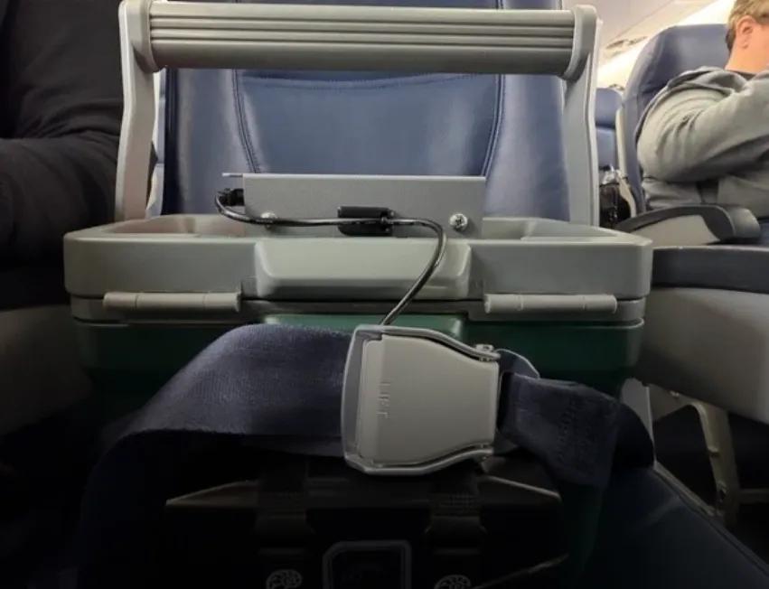 Buckle up! eggs in cooler with seatbelt across it