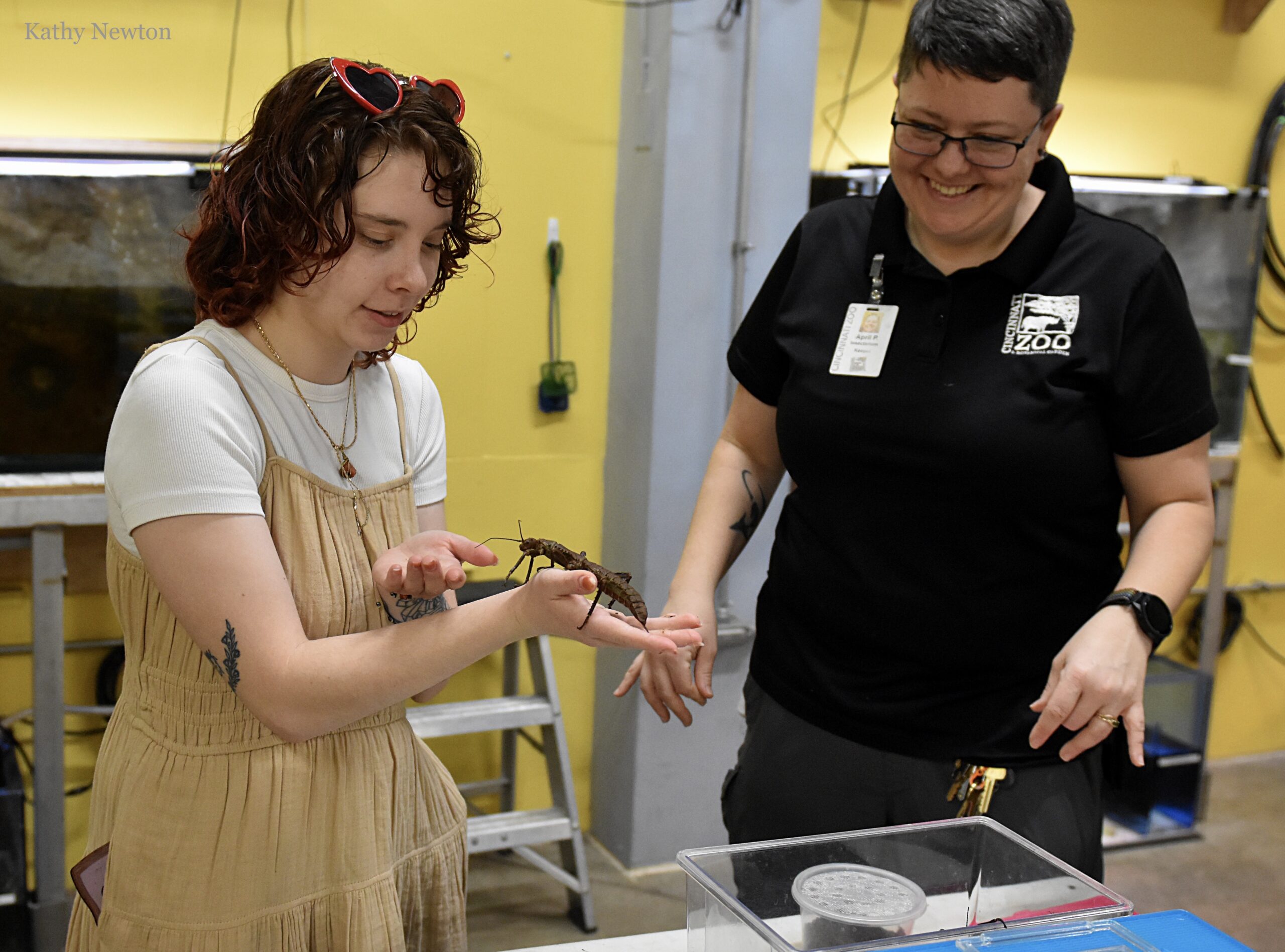 insect behind the scenes tour - guest holding insect