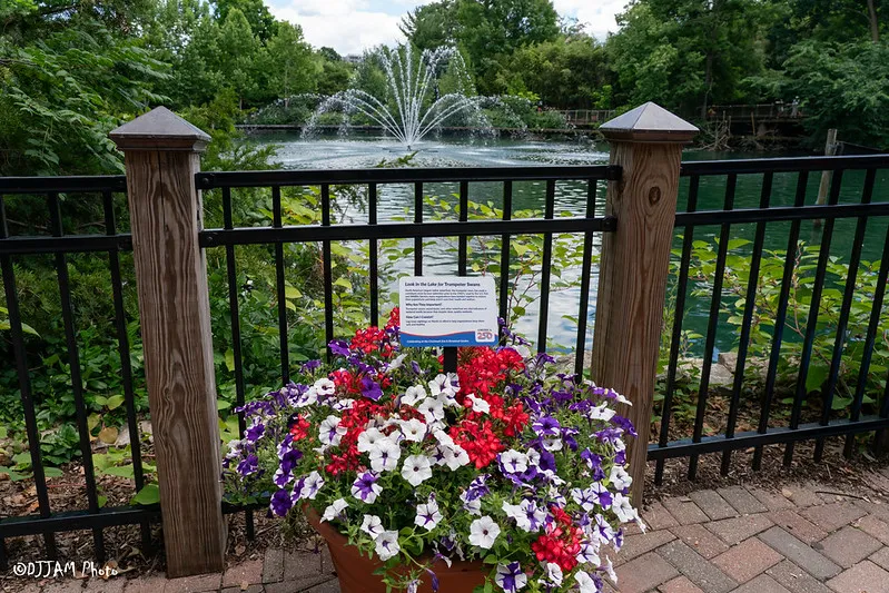 america 250 flower pot and sign