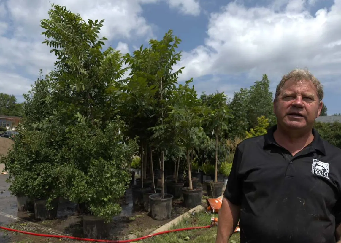 New Tree School Brings Classrooms Outdoors