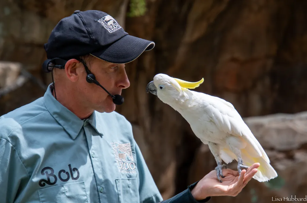 Saying Goodbye to Reggie, the OG of the Wings of Wonder Bird Show